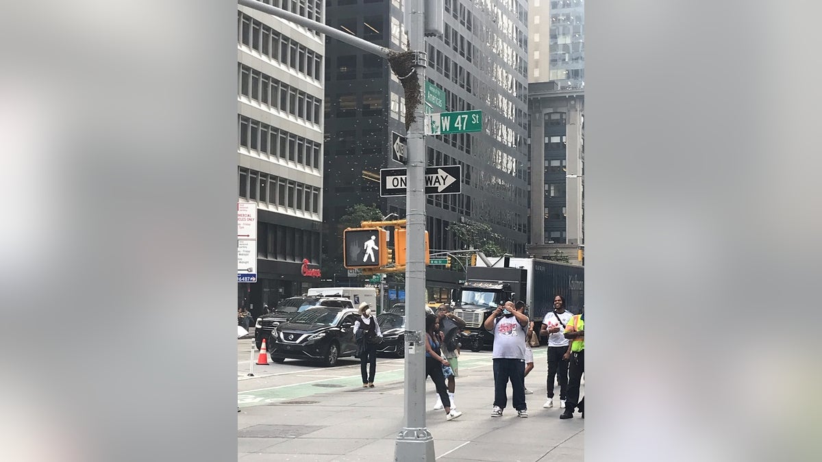 Onlookers gather Tuesday to watch a large colony of bees gather around a light pole in midtown Manhattan.