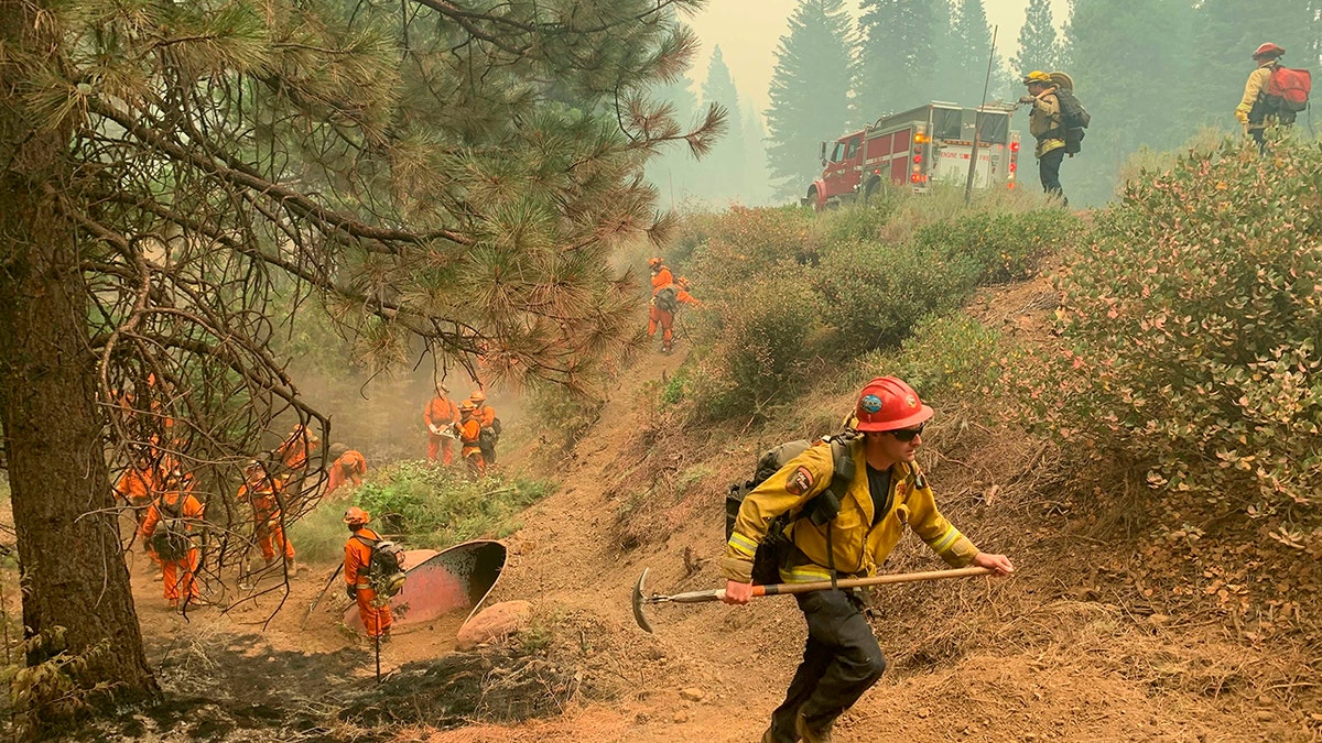 CalFire firefighters and California Correctional Center (CCC) inmates fight a spot fire on the side of Highway CA-36 between Chester and Westwood in Plumas County, Calif., on Friday. (AP Photo/Eugene Garcia)