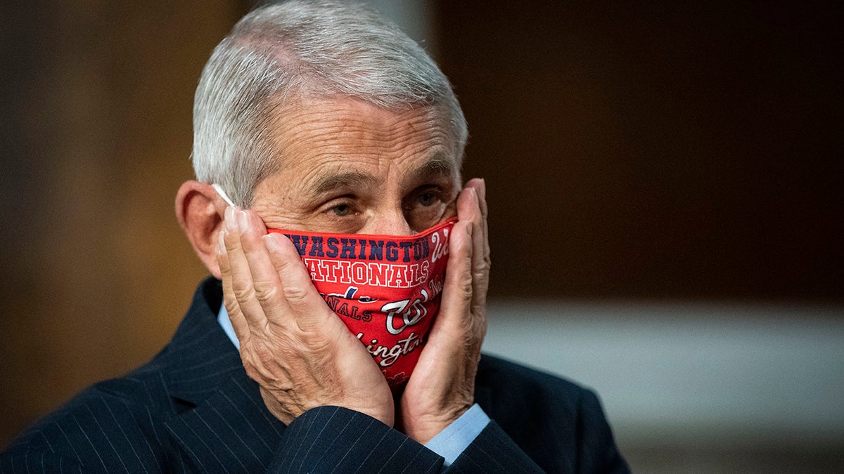 Anthony Fauci, director of the National Institute of Allergy and Infectious Diseases, adjusts a Washington Nationals protective mask while arriving to a Senate Health, Education, Labor and Pensions Committee hearing on June 30, 2020 in Washington, DC. Top federal health officials are expected to discuss efforts to get back to work and school during the coronavirus pandemic. (Photo by Al Drago - Pool/Getty Images)