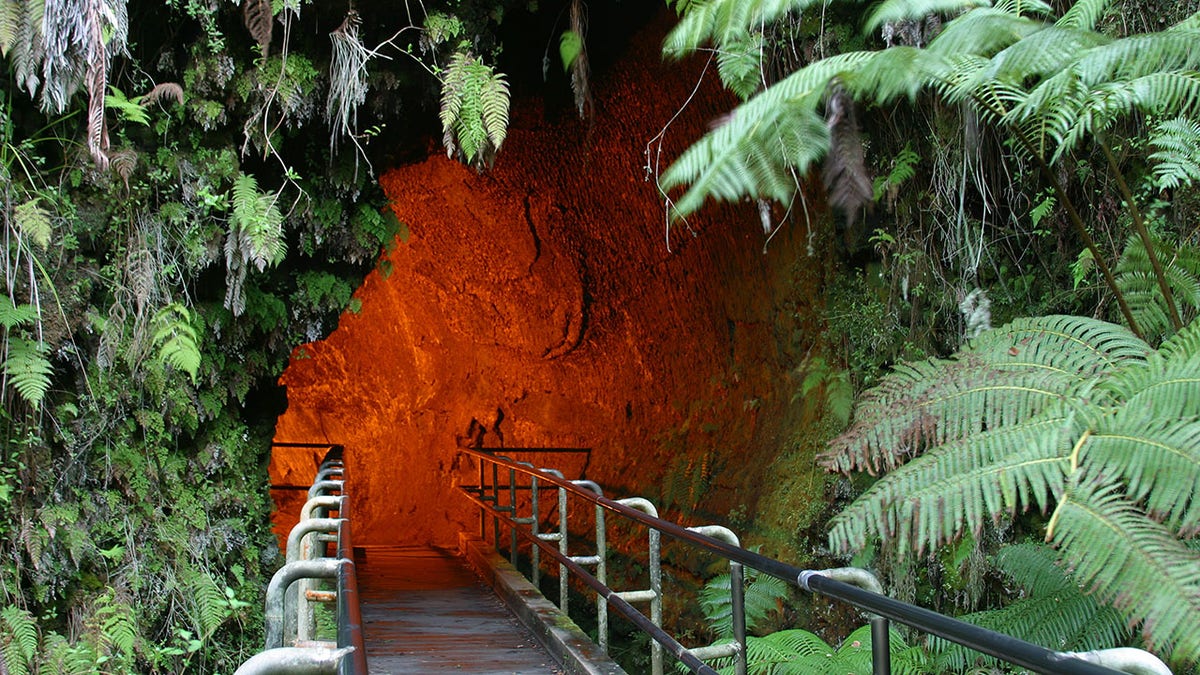 Hawaii Lava Tube