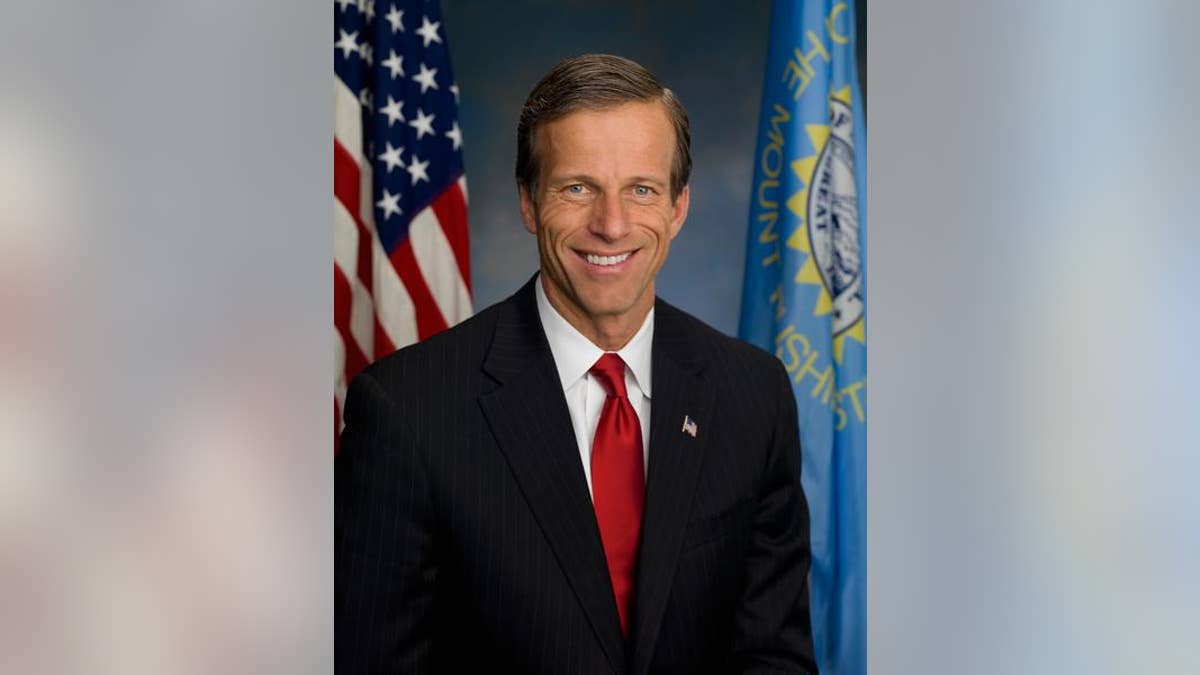 Sen. John Thune, R-S.D., will seek reelection in 2022.