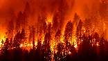 The Dixie Fire burns down a hillside towards Diamond Mountain Rd. near Taylorsville in Plumas County, Calif., on Friday, Aug. 13, 2021.