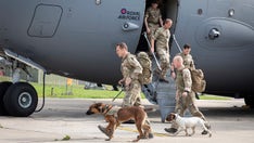 Non-profit aiming to rescue dozens of military dogs from Afghanistan: report