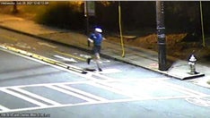 Atlanta police release images of potential witnesses to deadly park stabbing of woman and dog