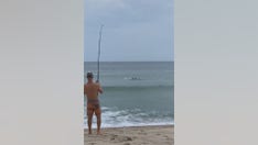 Man catches great white shark at beach after it tries to eat fish off his line