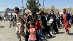 Defense official during Saigon operation says Pentagon 'not trying hard enough' to evacuate Afghans