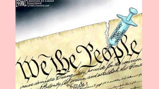 Political cartoon of the day: Sticking it to the Constitution