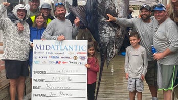 Florida man's 1,135-pound blue marlin catch breaks fishing record in Maryland