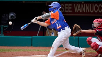 Lake Superior: Michigan beats Ohio for Little League title