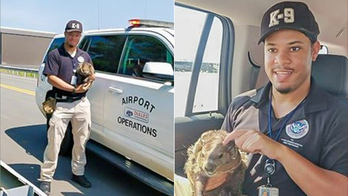 TSA dog handler rescues groundhog from Washington Dulles International Airport runway