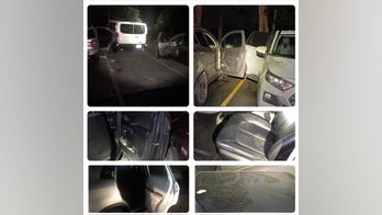 Bear opens 8 car doors in Colorado town in 1 night: 'Lock all your windows and doors'