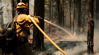 California firefighter battling Dixie Fire dies, officials say