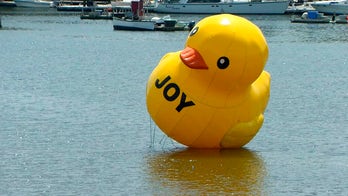 Mysterious giant rubber duck in Maine harbor disappears