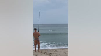 Man catches great white shark at beach after it tries to eat fish off his line