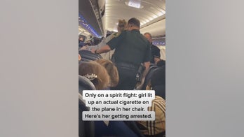 Spirit Airlines passenger who smoked cigarette on plane escorted off by police: video