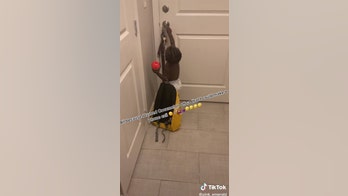 Toddler tries running away from home when Cocomelon is turned off