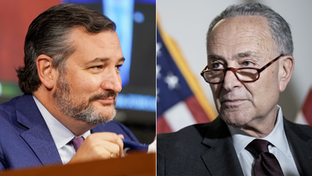 Sen. Cruz scores a future vote on Russian pipeline sanctions in deal with Democrats