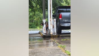 Ahead of Hurricane Ida, Mississippi police find goat, dog and car abandoned at empty bank