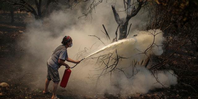 A woman uses a fire extinguisher to save a burning tree in Cokertme village, near Bodrum, Mugla, Turkey, Tuesday, Aug. 3, 2021.
