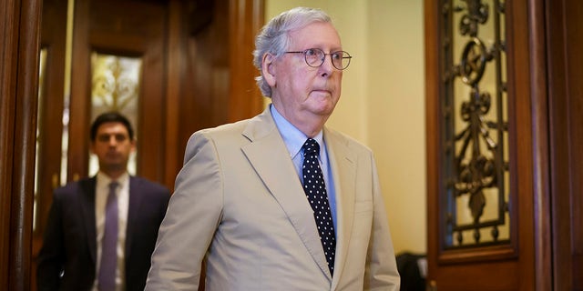 Senate Minority Leader Mitch McConnell. (AP Photo/J. Scott Applewhite)