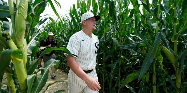 Chicago White Sox first baseman Andrew Vaughn walks through a cornfield before a baseball game against the New York Yankees, Thursday, Aug. 12, 2021, in Dyersville, Iowa. (AP Photo/Charlie Neibergall)