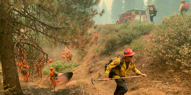 CalFire firefighters and California Correctional Center (CCC) inmates fight a spot fire on the side of Highway CA-36 between Chester and Westwood in Plumas County, Calif., Friday, Aug. 13, 2021. In California, the Dixie Fire that virtually destroyed the Sierra Nevada town of Greenville is less than a third surrounded. Fire officials say Northern California will have dangerous fire weather on Friday, including possible lightning that could spark more blazes. Climate change has made the U.S. West warmer and drier in the past 30 years and will continue to make the weather more extreme and wildfires more destructive, according to scientists. (AP Photo/Eugene Garcia)