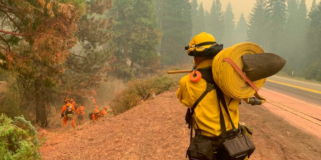 CalFire firefighters and California Correctional Center (CCC) inmates fight a spot fire on the side of Highway CA-36 between Chester and Westwood in Plumas County, Calif., Friday, Aug. 13, 2021. In California, the Dixie Fire that virtually destroyed the Sierra Nevada town of Greenville is less than a third surrounded. Fire officials say Northern California will have dangerous fire weather on Friday, including possible lightning that could spark more blazes.(AP Photo/Eugene Garcia)