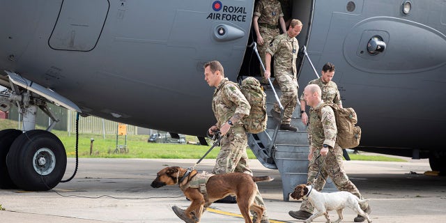 Military personnel and military working dogs disembark a RAF C-17 aircraft after landing at RAF Brize Norton, in Oxfordshire, England, Sunday, Aug. 29, 2021. (SAC Samantha Holden RAF/Ministry of Defence via AP)