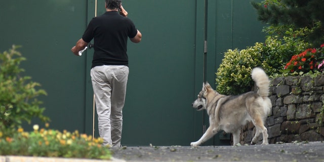 Andrew Cuomo with his dog Captain at the New York state Executive Mansion, Saturday, Aug. 7, 2021, in Albany, New York. An investigation found that New York Gov. Andrew Cuomo sexually harassed multiple women in and out of state government.