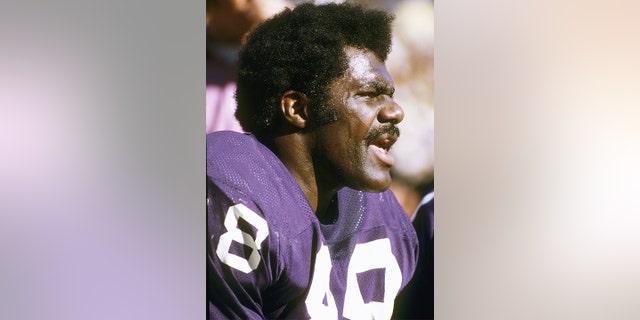 Defensive tackle Alan Page of the Minnesota Vikings. (Richard Stagg/Getty Images)