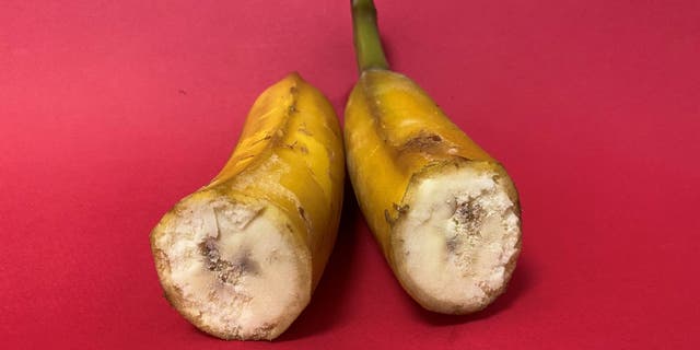 Bethany Ugarte recommends running hot water over a frozen banana to make slicing easier. She tells Fox News there are a list of benefits to freezing bananas, including longer-lasting fruit and easier smoothie prep.