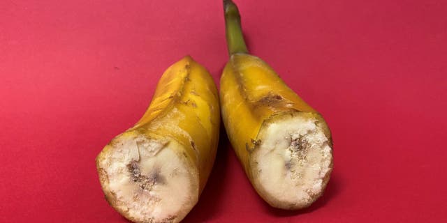 Bethany Ugarte recommends running hot water over a frozen banana to make slicing easier. She tells Fox News there are a list of benefits to freezing bananas, including longer-lasting fruit and easier smoothie prep.