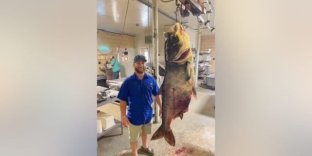 Matt Neuling was bowfishing at Lake Perry on July 24th when he shot a 125-pound, 5-ounce carp.