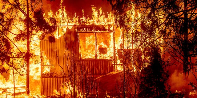 Flames consume a home on Highway 89 as the Dixie Fire tears through the Greenville community of Plumas County, Calif., on Wednesday, Aug. 4, 2021. The fire leveled multiple historic buildings and dozens of homes in central Greenville. (AP Photo/Noah Berger)