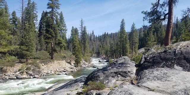 Sierra National Forest. A Northern California family and their dog were found dead this week on a hiking trial in the forest. 