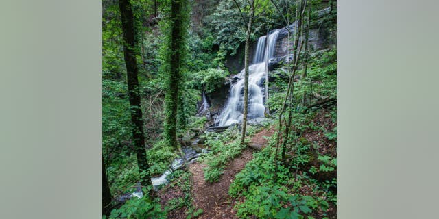 The Chattahoochee-Oconee National Forest, Dahlonega is a place well-suited for adventurers. 