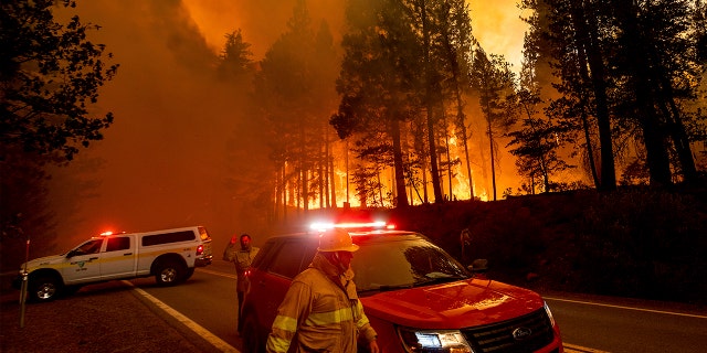 Flames leap from trees as the Dixie Fire jumps Highway 89 north of Greenville in Plumas County, Calif., on Tuesday, Aug. 3, 2021. Dry and windy conditions have led to increased fire activity as firefighters battle the blaze which ignited July 14.