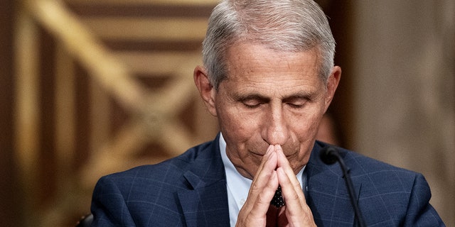 Anthony Fauci, director of the National Institute of Allergy and Infectious Diseases, listens during a Senate Health, Education, Labor and Pensions Committee confirmation hearing in Washington, D.C., July 20, 2021. 