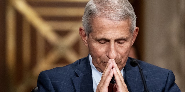 Anthony Fauci, director del Instituto Nacional de Alergias y Enfermedades Infecciosas, escucha durante una audiencia de confirmación del Comité Senatorial de Salud, Educación, Trabajo y Pensiones en Washington, DC, Estados Unidos, el martes 20 de julio de 2021. Enfermedad Un experto dijo ayer que la variante delta del coronavirus está provocando un aumento significativo de infecciones y que la administración de Biden es "prácticamente suplicar" con la gente para vacunarse.  Fotógrafo: Stefani Reynolds / The New York Times / Bloomberg a través de Getty Images