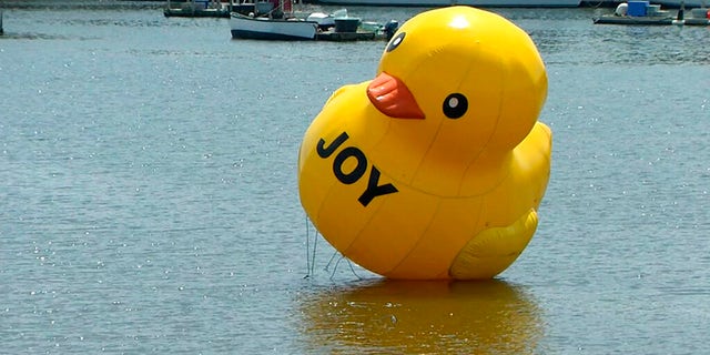 A giant rubber duck appeared in the harbor in Belfast, Maine, on Saturday but residents still don’t know how it got there. (New England Cable News/Kenn Tompkins via AP)