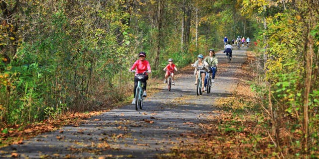 Greenville has the Prisma Health Swamp Rabbit Trail, a 22-mile beginner-friendly bike trail that you can take to five nearby state parks.