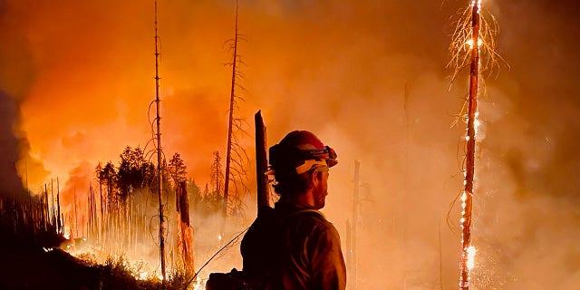 Idaho's Character Complex's Prichard Fire burns