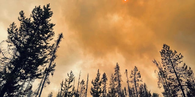 Smoke fills the skies of Idaho's Nez Perce National Forest.