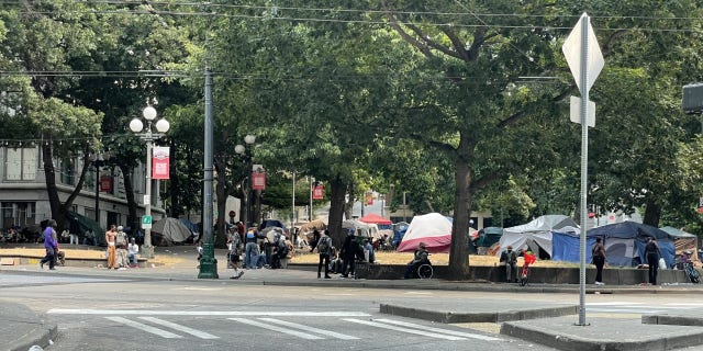 The homeless encampment at Seattle's City Hall Park.