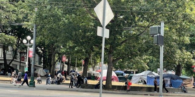 A view of the homeless encampment at Seattle's City Hall Park