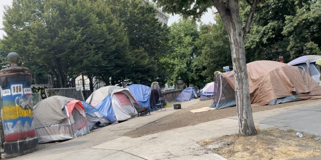 Another view of the homeless encampment at Seattle's City Hall Park.