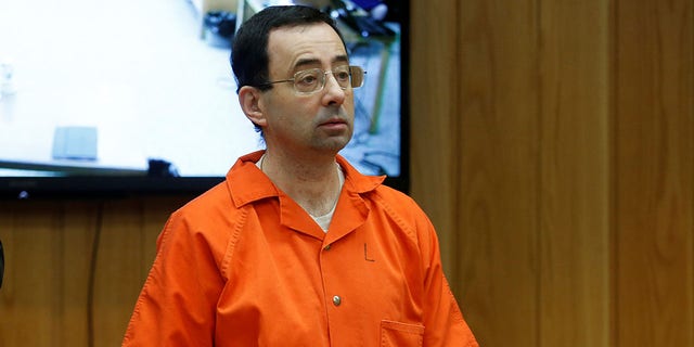 Larry Nassar, a former team USA Gymnastics doctor who pleaded guilty in November 2017 to sexual assault charges, stands in court during his sentencing hearing in Charlotte, Michigan, Feb. 5, 2018.