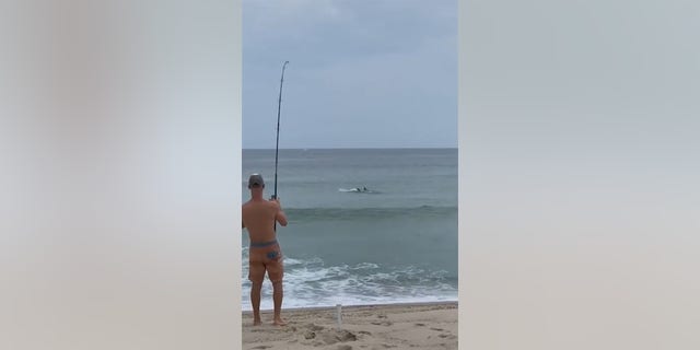 A man fishing at a Massachusetts beach hooked a shark and the entire incident was caught on camera.