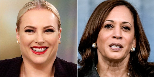 Former "View" co-host Meghan McCain scolded Vice President Kamala Harris Monday for laughing when asked about the ongoing crisis in Afghanistan. (Getty)