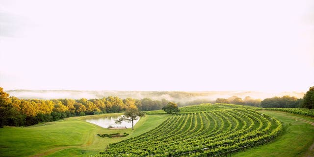 Grab an Uber, Lyft, or designated driver and tackle the 39-mile <u>wine trail</u> and sip at some of the best vineyards and wineries Northern Georgia has to offer.